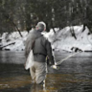 Meet your Posher, William